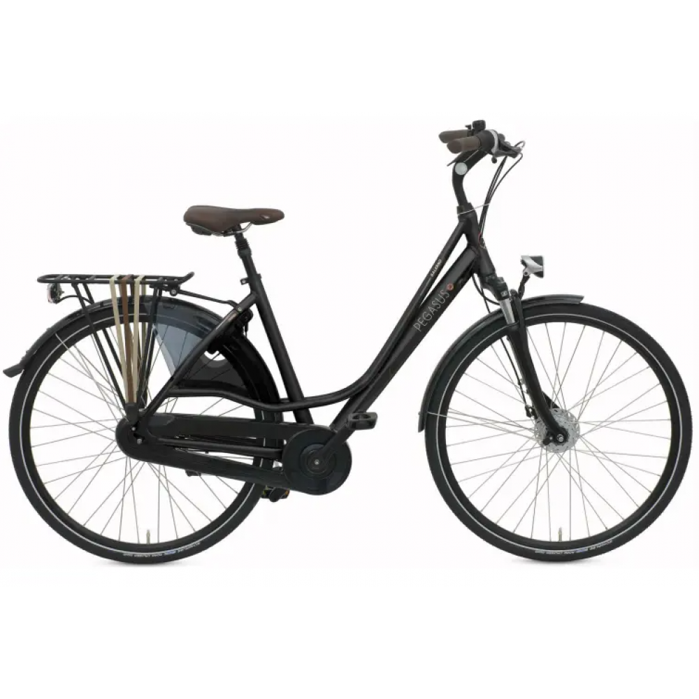 Pegasus Salerno dames